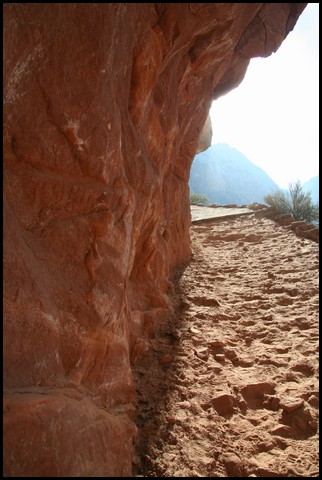 Zion NP Thanksgiving Family Reunion 2007-126.JPG