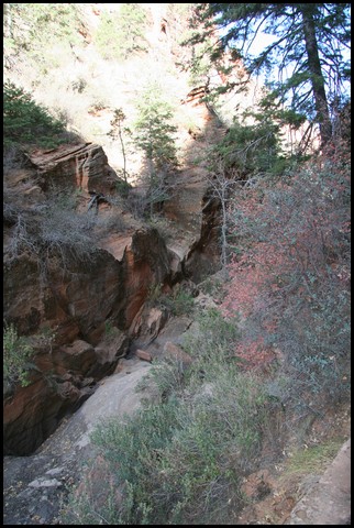 Zion NP Thanksgiving Family Reunion 2007-133.JPG