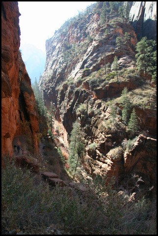 Zion NP Thanksgiving Family Reunion 2007-145.JPG