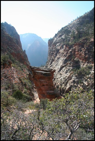 Zion NP Thanksgiving Family Reunion 2007-158.JPG