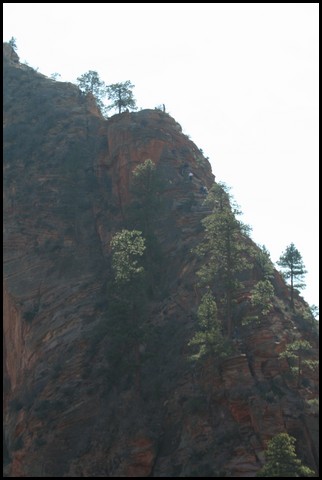 Zion NP Thanksgiving Family Reunion 2007-167.JPG