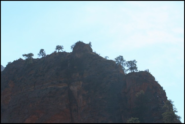 Zion NP Thanksgiving Family Reunion 2007-168.JPG