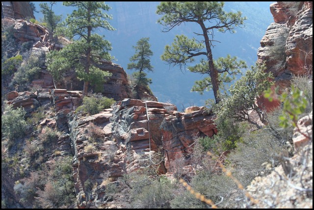 Zion NP Thanksgiving Family Reunion 2007-169.JPG