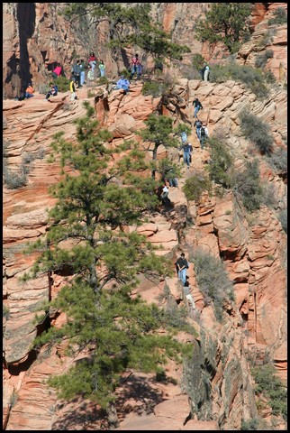 Zion NP Thanksgiving Family Reunion 2007-173.JPG