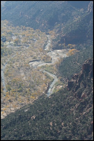 Zion NP Thanksgiving Family Reunion 2007-175.JPG