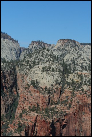 Zion NP Thanksgiving Family Reunion 2007-177.JPG