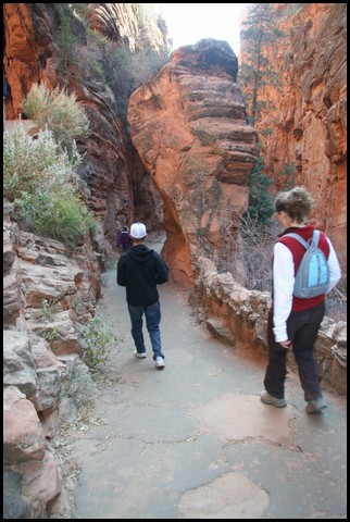 Zion NP Thanksgiving Family Reunion 2007-182.JPG