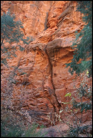Zion NP Thanksgiving Family Reunion 2007-183.JPG
