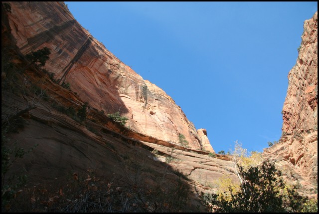 Zion NP Thanksgiving Family Reunion 2007-204.JPG