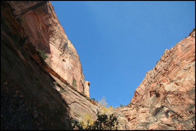 Zion NP Thanksgiving Family Reunion 2007-205.JPG