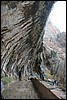 Zion NP Thanksgiving Family Reunion 2007-003.JPG