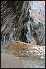 Zion NP Thanksgiving Family Reunion 2007-006.JPG