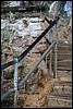 Zion NP Thanksgiving Family Reunion 2007-007.JPG