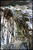 Zion NP Thanksgiving Family Reunion 2007-009.JPG