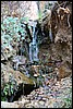 Zion NP Thanksgiving Family Reunion 2007-011.JPG