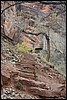 Zion NP Thanksgiving Family Reunion 2007-016.JPG