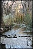 Zion NP Thanksgiving Family Reunion 2007-017.JPG