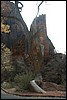 Zion NP Thanksgiving Family Reunion 2007-028_2.JPG