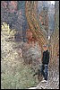 Zion NP Thanksgiving Family Reunion 2007-031.JPG