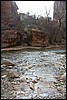 Zion NP Thanksgiving Family Reunion 2007-033.JPG