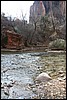 Zion NP Thanksgiving Family Reunion 2007-034.JPG