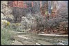 Zion NP Thanksgiving Family Reunion 2007-036.JPG