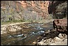 Zion NP Thanksgiving Family Reunion 2007-042.JPG