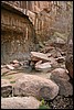 Zion NP Thanksgiving Family Reunion 2007-054.JPG