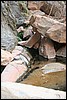 Zion NP Thanksgiving Family Reunion 2007-057.JPG