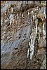 Zion NP Thanksgiving Family Reunion 2007-058.JPG