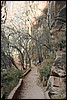 Zion NP Thanksgiving Family Reunion 2007-063.JPG