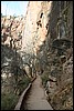 Zion NP Thanksgiving Family Reunion 2007-064.JPG