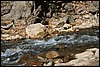Zion NP Thanksgiving Family Reunion 2007-071.JPG