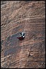 Zion NP Thanksgiving Family Reunion 2007-097.JPG