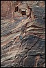 Zion NP Thanksgiving Family Reunion 2007-099.JPG