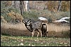 Zion NP Thanksgiving Family Reunion 2007-102.JPG