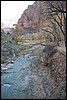 Zion NP Thanksgiving Family Reunion 2007-106.JPG