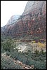 Zion NP Thanksgiving Family Reunion 2007-111.JPG