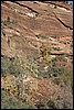Zion NP Thanksgiving Family Reunion 2007-115.JPG