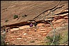 Zion NP Thanksgiving Family Reunion 2007-116.JPG