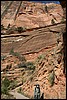 Zion NP Thanksgiving Family Reunion 2007-117.JPG