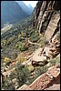 Zion NP Thanksgiving Family Reunion 2007-120.JPG
