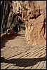 Zion NP Thanksgiving Family Reunion 2007-129.JPG