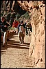 Zion NP Thanksgiving Family Reunion 2007-130.JPG