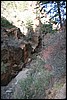 Zion NP Thanksgiving Family Reunion 2007-133.JPG