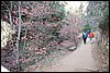 Zion NP Thanksgiving Family Reunion 2007-134.JPG