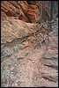 Zion NP Thanksgiving Family Reunion 2007-139.JPG