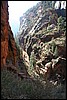 Zion NP Thanksgiving Family Reunion 2007-145.JPG