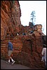 Zion NP Thanksgiving Family Reunion 2007-147.JPG