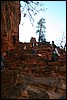 Zion NP Thanksgiving Family Reunion 2007-149.JPG